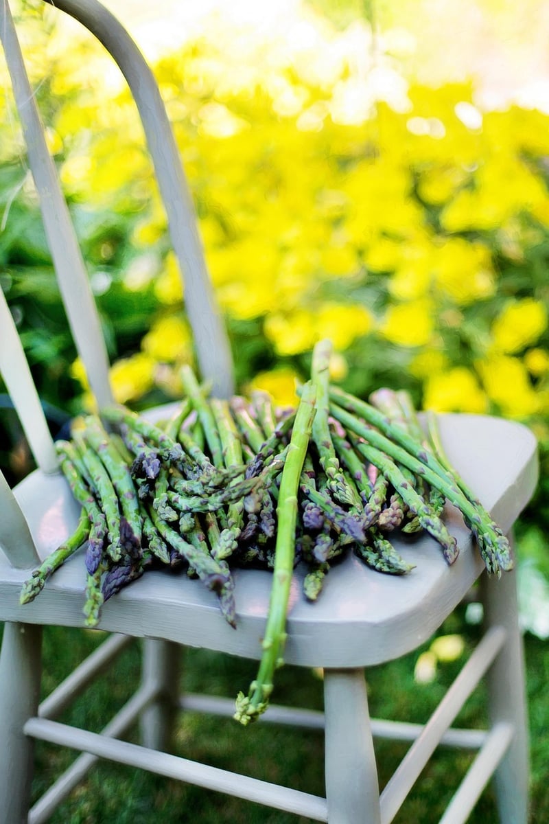 Summer Veggies