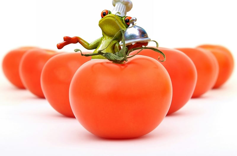 Summer Veggies
